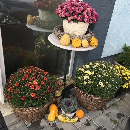 Burgfreude Bisingen